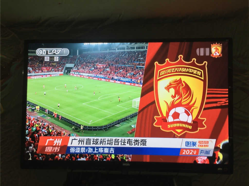 勢必為維拉 勢必為維拉